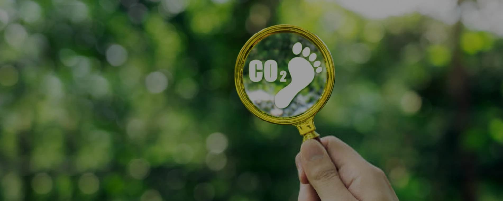 Carbon Footprint & Climate Risk Assessment