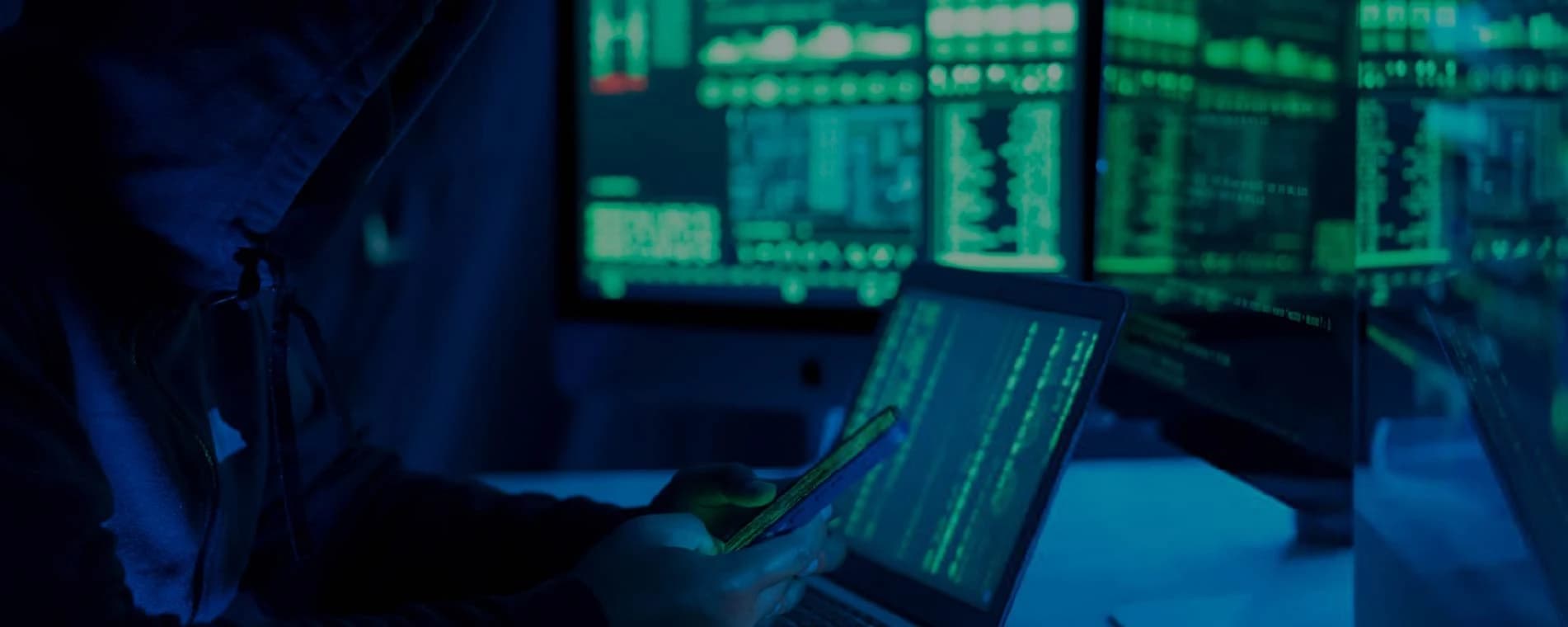 Cyber Fraud Detection