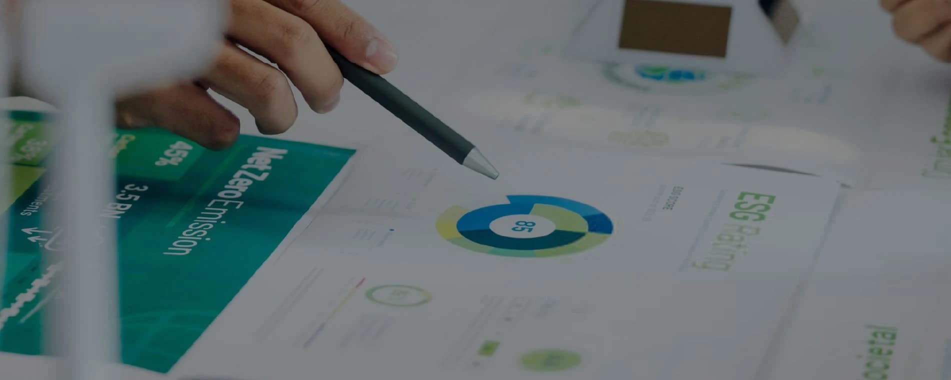 ESG Audits