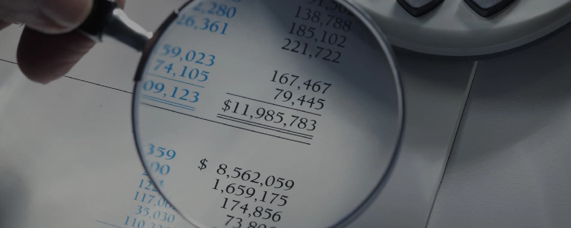 Financial Statement Misrepresentation Services