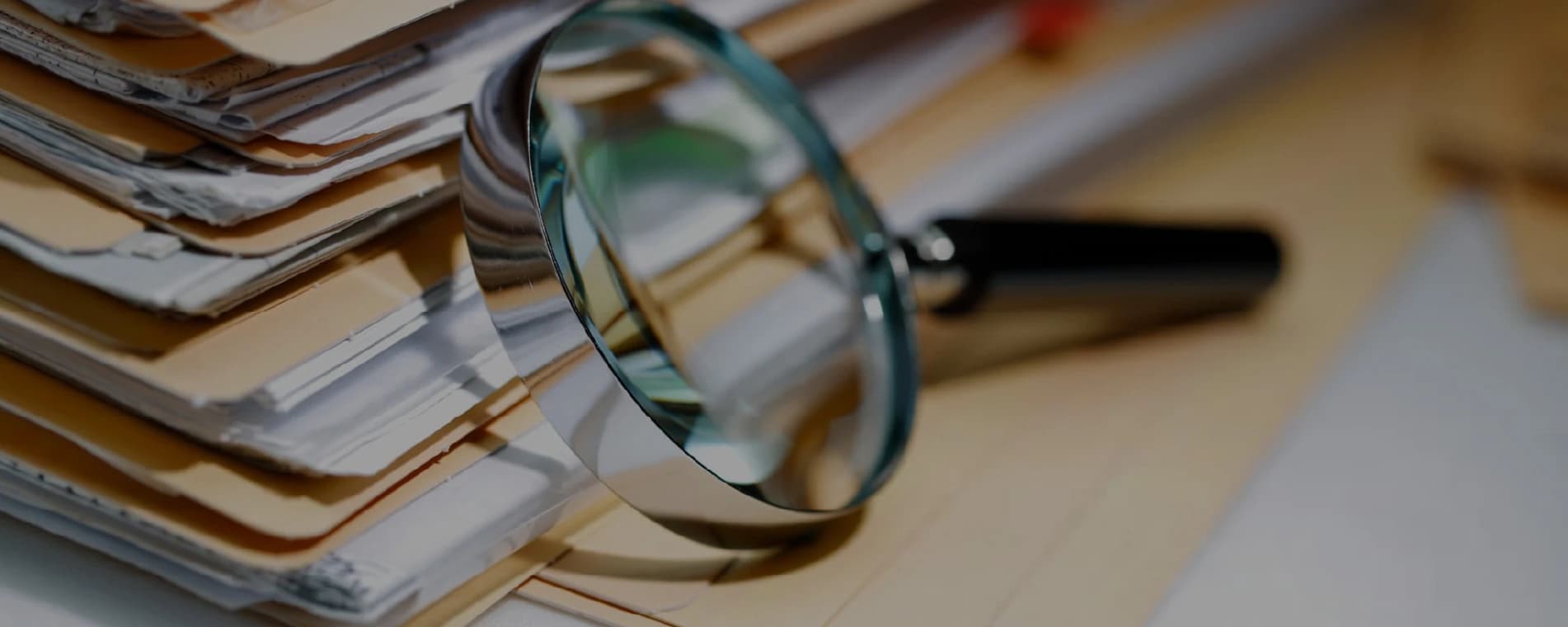 Fraud Risk Assessments & Reviews