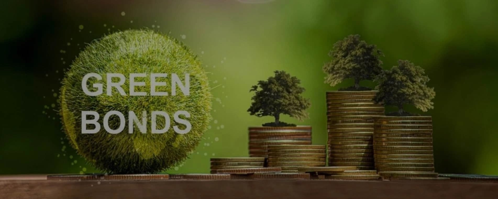 Green Bond & Sustainable Investment Consulting