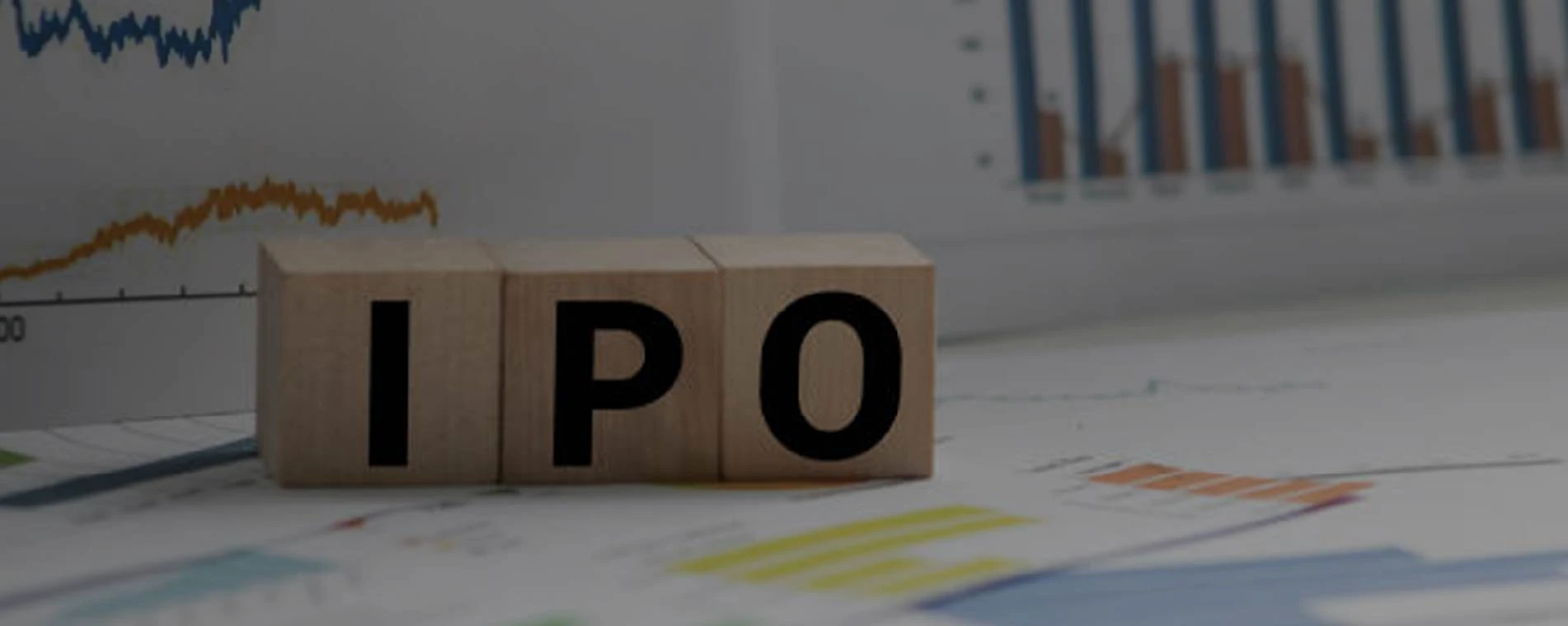 IPO Readiness & Advisory
