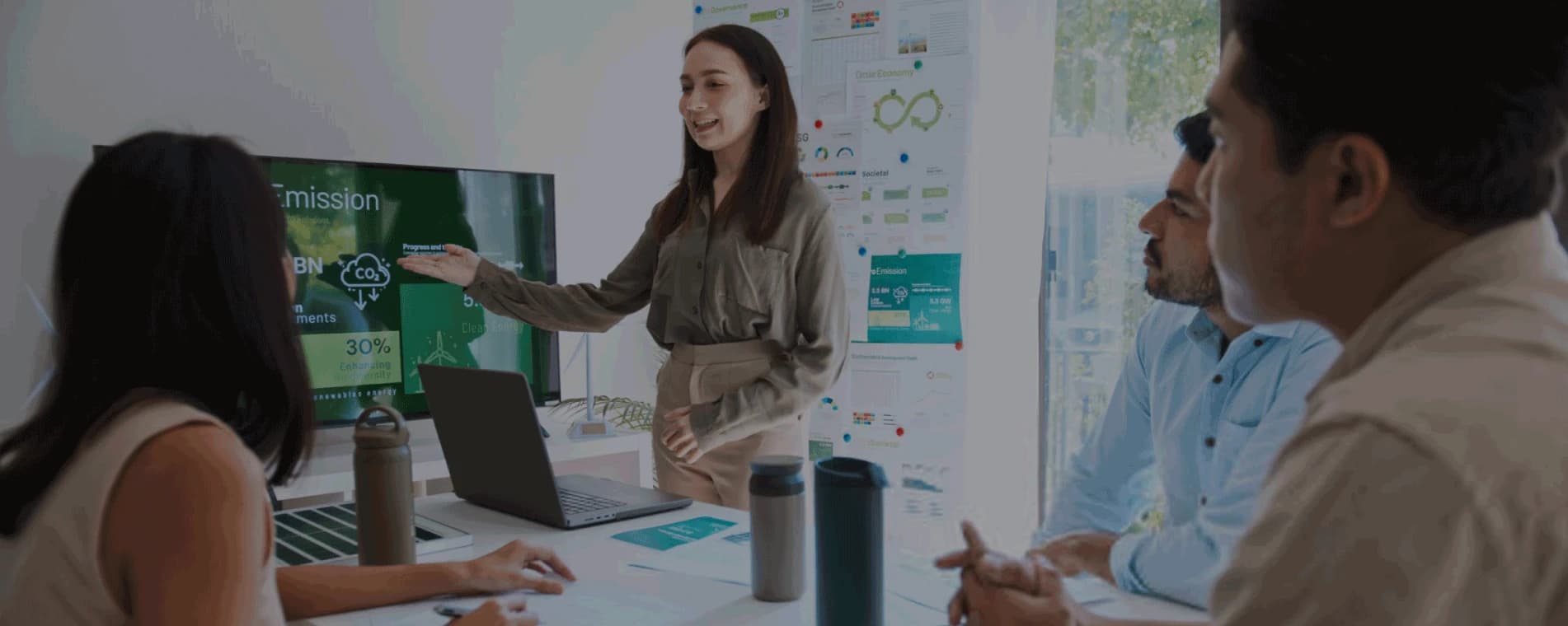 Sustainable Finance Advisory